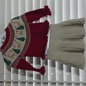 TAHARI baby girl sweater and skirt 12 months